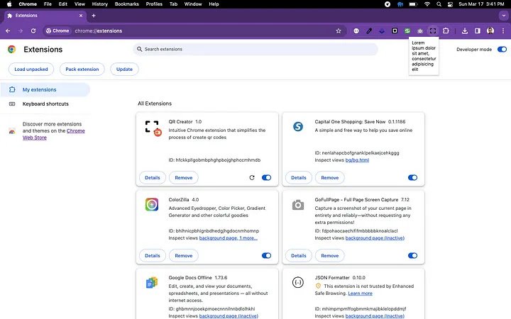 extension loaded into chrome