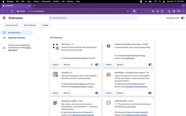 extension loaded into chrome